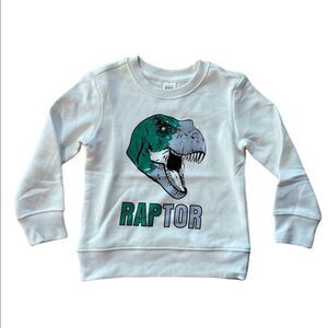 Boys Size 4 Dinosaur Sweater